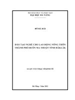 Đào tạo nghề cho lao động nông thôn Thành phố Buôn Ma Thuộc Tỉnh ĐăkLăk