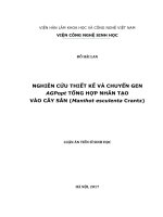 Nghiên cứu thiết kế và chuyển gen AGPopt tổng hợp nhân tạo vào cây sắn (Manihot esculenta Crantz)