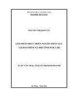 Giải pháp phát triển nguồn nhân lực tại Bảo Hiểm Xã Hội tỉnh Đak Lak
