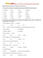 bai tap tieng anh lop 8 unit 13 festivals co dap an 4