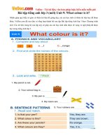 bai tap tieng anh lop 3 moi unit 9 what colour is it