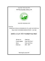 Đánh giá năng suất sinh sản của lợn nái tại trại chăn nuôi Bình Minh tại Mỹ Đức  Hà Nội.