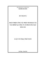 Hoàn thiện công tác phân tích báo cáo tài chính tại công ty cổ phần ong mật Đắk Lắk