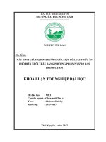Xác định giá trị dinh dưỡng của một số loại thức ăn phổ biến nuôi trâu bằng phương pháp Invitro gas production.