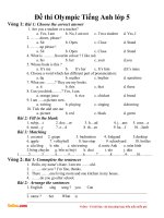 bo de luyen thi IOE lop 5