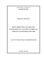 Hoàn thiện công tác đào tạo nguồn nhân lực tại Công ty Điện lực tỉnh Gia Lai giai đoạn 2016- 2018.