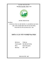 Đánh giá công tác bồi thường và giải phóng mặt bằng khu công nghiệp Điềm Thụy huyện Phú Bình tỉnh Thái Nguyên giai đoạn 2013  2016. (Khóa luận tốt nghiệp)