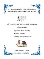 ĐỀ TÀI CHI TIẾT XÂY DỰNG TẬP THỂ SƯ PHẠM VỮNG MẠNH