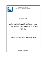 HOÀN THIỆN KÊNH PHÂN PHỐI SẢN PHẨM CÀ PHÊ BỘT CỦA CÔNG TY CỔ PHẦN CÀ PHÊ THU HÀ
