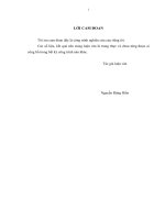 Hoạch định chiến lược phát triển loại hình Du lịch sinh thái sông Thu Bồn tại công ty trách nhiệm hữu hạn lữ hành Khoa Trần – Hội An