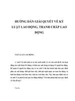 HƯỚNG dẫn GIẢI QUYẾT về kỷ LUẬT LAO ĐỘNG