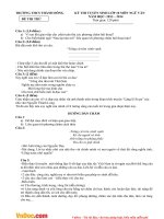 de thi thu vao lop 10 mon ngu van truong thcs thanh dong