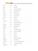 tu vung tieng anh lop 8 unit 1 my friends