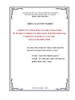 NGHIÊN CỨU TỔNG HỢP VẬT LIỆU CELLULOSE BIẾN TÍNH TỪ BÃ MÍA VÀ KHẢO SÁT KHẢ NĂNG HẤP PHỤ ION KIM LOẠI CADMIUM VÀ KẼM CỦA VẬT LIỆU