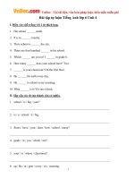 tong hop bai tap tieng anh lop 6 unit 4 big or small