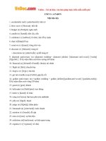 tu vung tieng anh lop 11 unit 3 a party