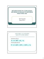 Bài giảng 7. Mô hình kinh tế lượng động: Mô hình tự hồi quy và mô hình phân phối trễ