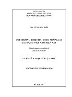 Bồi thường thiệt hại theo pháp luật lao động Việt Nam hiện nay (LV thạc sĩ)