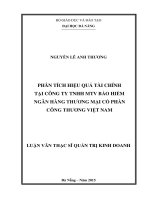 Phân tích hiệu quả tài chính tại công ty TNHH MTV bảo hiểm ngân hàng thương mại cổ phần công thương Việt Nam