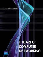 The art of computer networking 