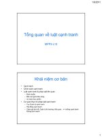 Bài giảng 10. Tổng quan về Luật Cạnh tranh