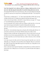 thu truong bui van ga diem san nam nay se khong co nhieu thay doi so voi cac nam truoc