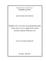 Nghiên cuwua các yếu tố ảnh hưởng đến năng suất cây cà phê ở xã IAYOK huyện IAGRAI tỉnh GIA LAI.