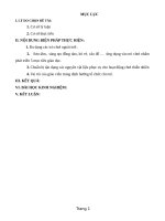 skkn phát huy tính tích cực chủ động của trẻ ở hoạt động vui chơi ngoài trời