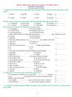 De thi hoc ki 1 tieng anh 11 