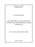 Phát triển đội ngũ cán bộ, công chức xã, phường tại thành phố Buôn Mê Thuột, tỉnh Đắc Lắc