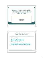 Bài giảng 8. Mô hình kinh tế lượng động: Mô hình tự hồi quy và Mô hình phân phối trễ