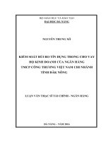 Kiểm soát rủi ro tín dụng trong cho vay hộ kinh doanh của Ngân hàng TMCP Công thương Việt Nam – Chi nhánh tỉnh Đăk Nông