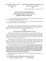 c17205d5 f5ea 4a0b 99ad 1e8bddc1687b 05.CLL Bao cao Ban Kiem soat