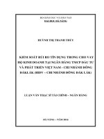 Kiểm soát rủi ro tín dụng trong cho vay hộ kinh doanh tại Ngân hàng TMCP Đầu tư và Phát triển Việt Nam - chi nhánh Đông Đắk Lắk