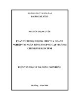Phân tích hoạt động cho vay doanh nghiệp tại Ngân hàng TMCP Ngoại Thương - Chi nhánh Kon Tum