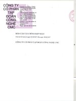 cmccorp.bctc hop nhat q1.2017 signed