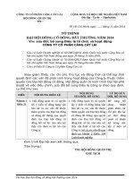 6fd8d467 44ef 4a8f aa69 09a3b1678a1f 06. To trinh sua doi dieu le cong ty