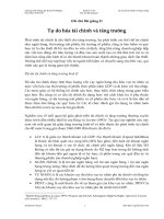 Ghi chú Bài giảng 21. Tự do hóa tài chính và tăng trưởng