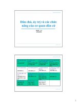 Bài giảng 4. Dân chủ, ủy trị và các chức năng của cơ quan dân cử