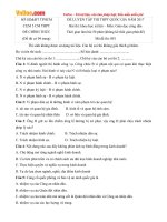 de thi thu thpt quoc gia nam 2017 mon giao duc cong dan so gddt thanh pho ho chi minh