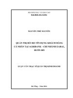 Quản trị rủi ro tín dụng khách hàng cá nhân tại AgriBank Chi nhánh EaRal Buôn Hồ