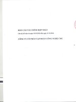 cmg. bctc hop nhat quy iii 2016