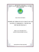 TÌM HIỂU QUY TRÌNH SẢN XUẤT CÁNH CỬA RA VÀO TẠI CÔNG TY TNHH DỊCH VỤ – THƯƠNG MẠI TIẾP THỊ THỂ THAO Q.V.T