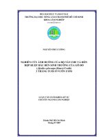 NGHIÊN CỨU ẢNH HƯỞNG CỦA ĐỘ TÀN CHE VÀ HỖN HỢP RUỘT BẦU ĐẾN SINH TRƯỞNG CỦA GÕ ĐỎ (Afzelia xylocarpa (Kurz) Craib) 3 THÁNG TUỔI Ở VƯỜN ƯƠM
