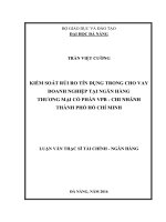 Kiểm soát rủi ro tín dụng trong cho vay doanh nghiệp tại Ngân hàng Thương mạicổ phần VPB chi nhánh TP. Hồ Chí Minh