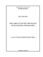 Phát triển cây hồ tiêu trên địa bàn huyện Đắk Song, tỉnh Đắk Nông