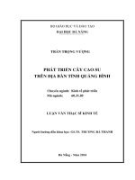 Phát triển cây cao su trên địa bàn tỉnh Quảng Bình