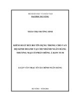 Kiểm soát rủi ro tín dụng trong cho vay hộ kinh doanh tại Chi nhánh Ngân hàng thương mại cổ phần Đông Á Kon Tum