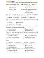 de thi thu thpt quoc gia nam 2017 mon gdcd phong gd dt hai phong