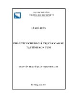 Phân tích chuỗi giá trị cây cao su tại tỉnh Kon Tum.